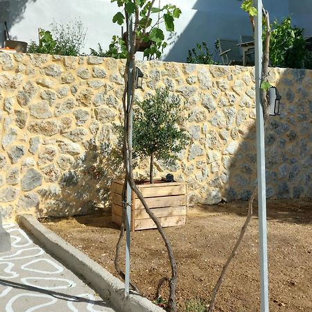 Rustic Private Cottage W/ King Bed In Galanado Naxos Exteriör bild